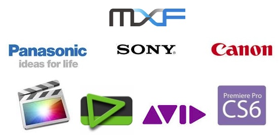 mxf player for windows