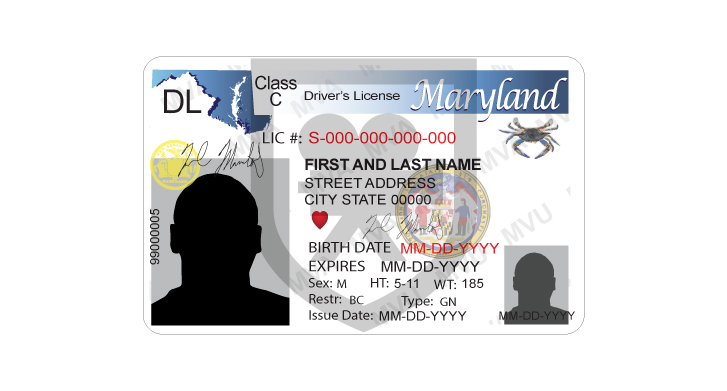 maryland driver's license number generator